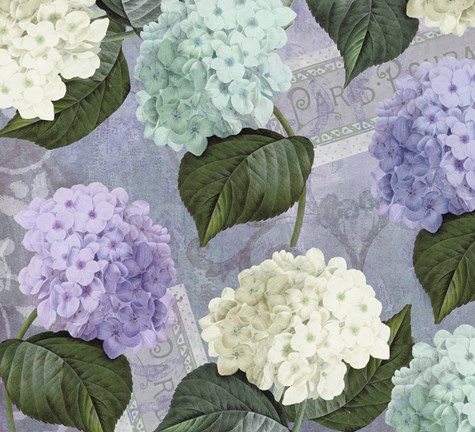 Framed Hortensia Lavenders Print