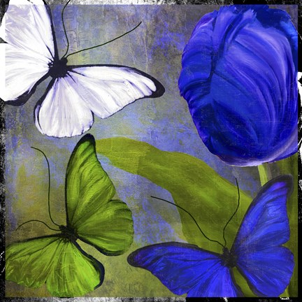 Framed Morphos Two Print