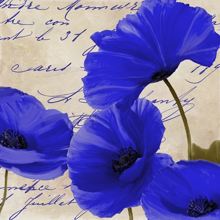 Framed Coquelicots Bleues I Print