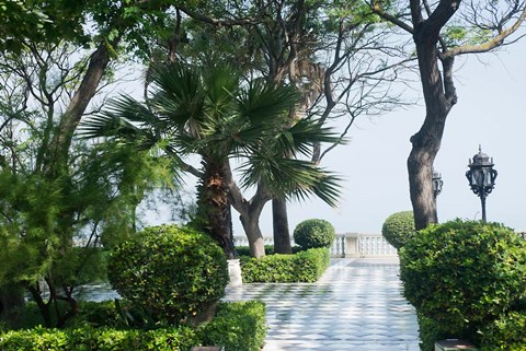 Framed Park in Cadiz, Spain, Europe Print