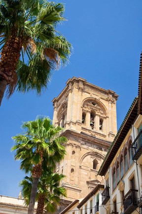 Framed Spain, Granada This is the bell tower of the Granada Cathedral Print