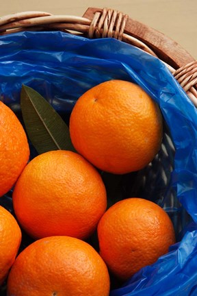 Framed Basket of Oranges, Greece Print