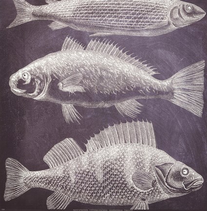 Framed Aquarium Print