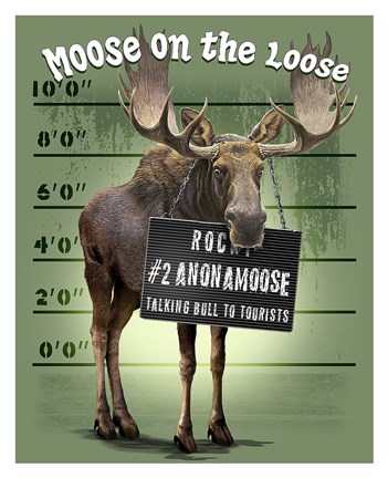 Framed Moose on the Loose Print