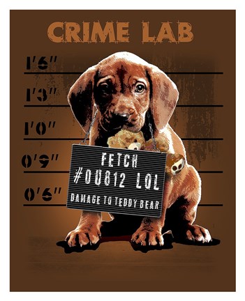 Framed Crime Lab Print
