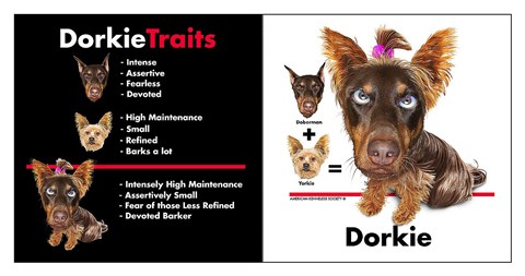 Framed Dorkie Traits Print