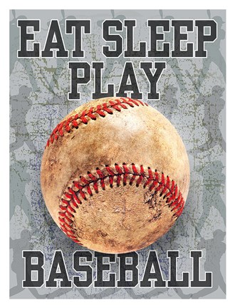 Framed Eat Sleep Play Baseball Print