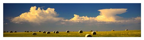 Framed Prairie Haybales Print