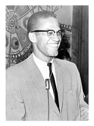 Framed Malcolm X Print