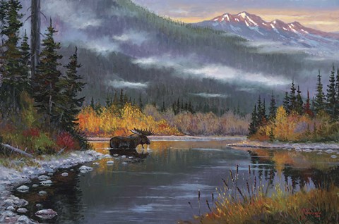 Framed South Fork Moose Print