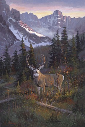 Framed High Country Muley Print