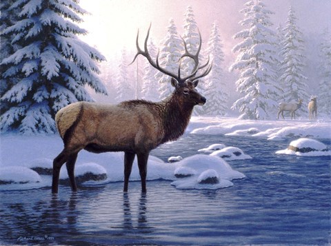 Framed Elk In Winter Print