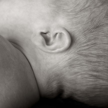 Framed Baby Ear III Print
