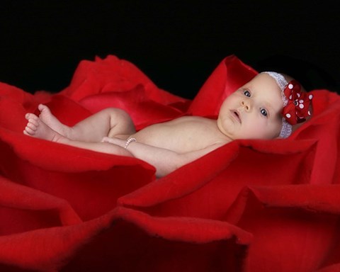 Framed Hale Baby In Rose Print