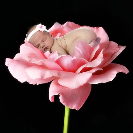 Framed Baby Snuggling On Flower Print