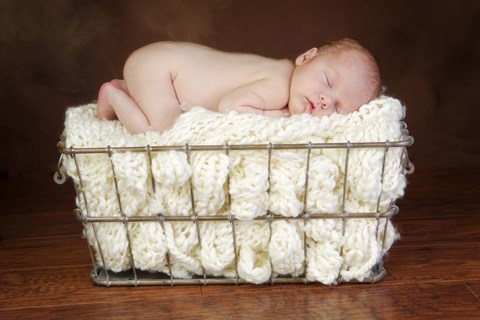 Framed Baby In Knit Basket White Print