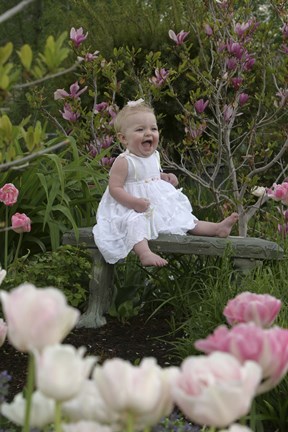 Framed Baby On Garden Bench Print