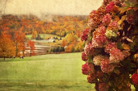 Framed Autumn Colors Print