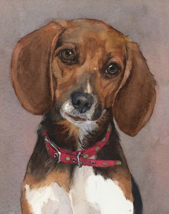 Framed Lucy English Pocket Beagle Print