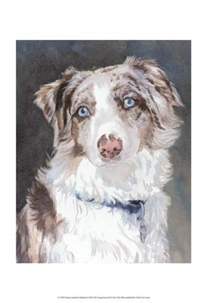 Framed Bogan Australian Shepherd Print