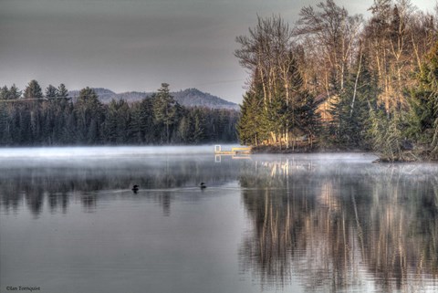 Framed Early Morning Swim Print