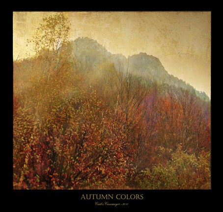 Framed Autumn Colors 2 Print