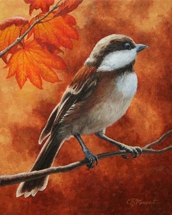 Framed Autumn Chickadee Print