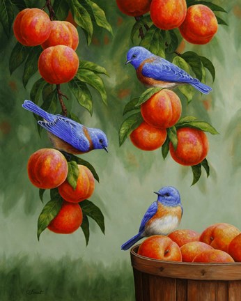 Framed Bluebirds and Peaches Print