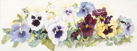 Framed Pansies On Parade Print