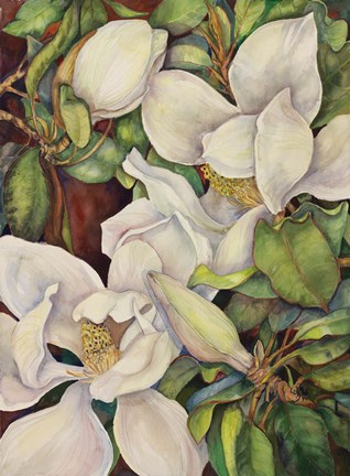 Framed Georgia Magnolias Print