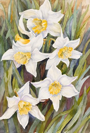 Framed Daffodil Heads Print