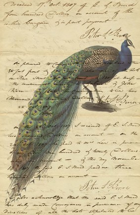 Framed Peacock Script Print