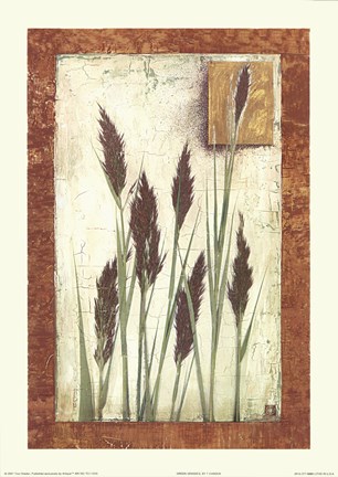 Framed Green Grasses Print