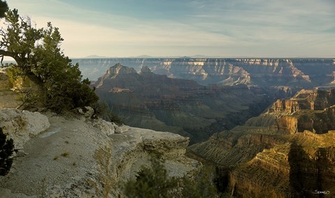 Framed Grand Canyon B Print
