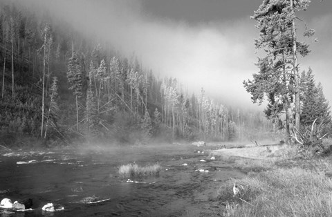 Framed Yellowstone 1 Print