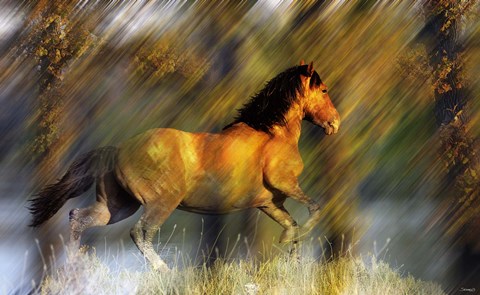 Framed Wild Horses in the Badlands II Print