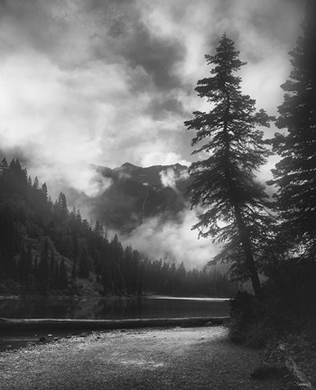 Framed Mountains And Clouded Sky Behind Trees Print