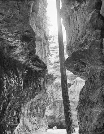 Framed Bryce Canyon 12 Print
