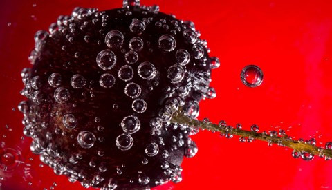 Framed Cherry Covered In Water Drops V Print