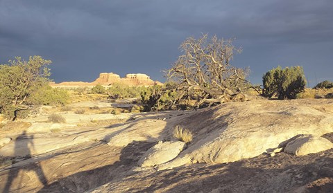 Framed Canyonland 14 Print