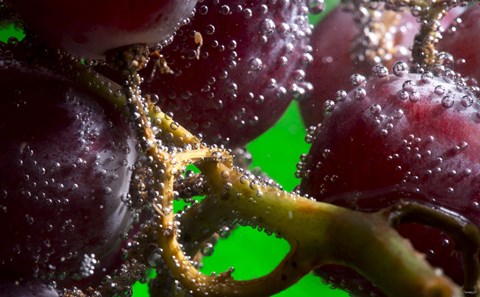 Framed Grapes Covered With Water Drops Closeup Print