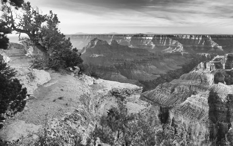 Framed Grand Canyon 1 Print