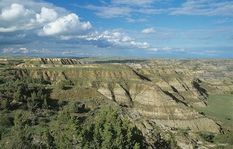 Framed Theodore Roosevelt National Park 7 Print