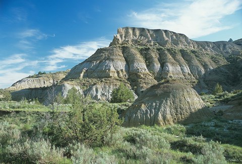 Framed Theodore Roosevelt National Park 2 Print