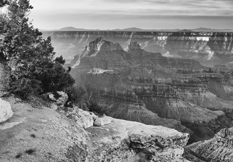 Framed Grand Canyon 2 Print