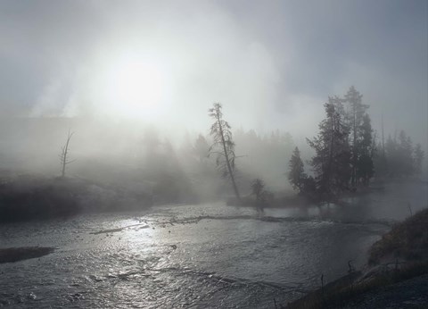 Framed Yellowstone 5 Print