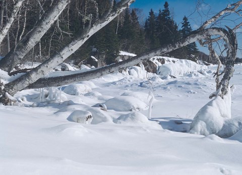 Framed Lake Superior Winter Snow 25 Print