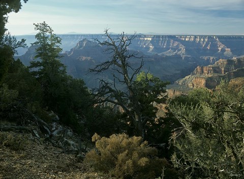 Framed Grand Canyon 3 Print