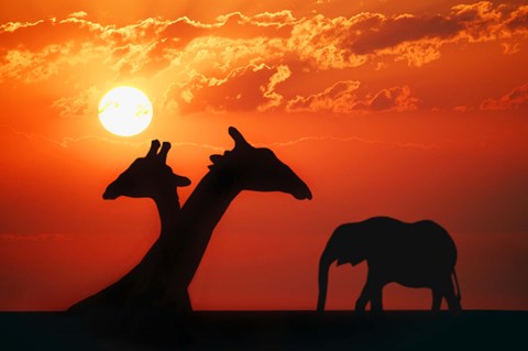 Framed Giraffe Sunset Silhouette Print