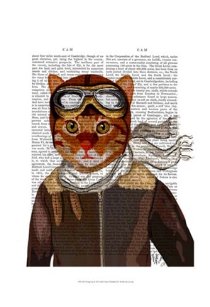 Framed Flying Cat Print